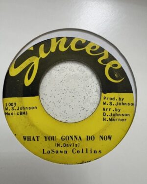 LASAWN COLLINS - WHAT YOU GONNA DO NOW